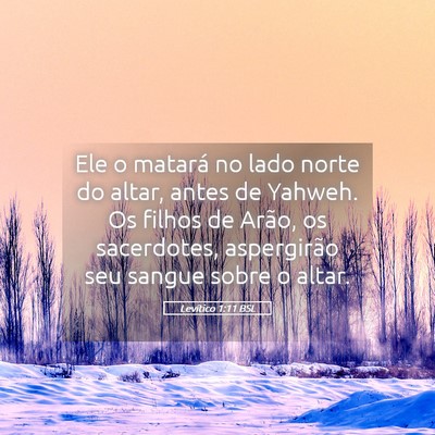 Picture 05 - Levítico 1:11 BSL - Ele o matará no lado norte do altar, antes de - Bible Verse Picture