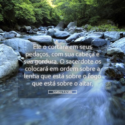 Picture 05 - Levítico 1:12 BSL - Ele o cortará em seus pedaços, com sua cabeça - Bible Verse Picture