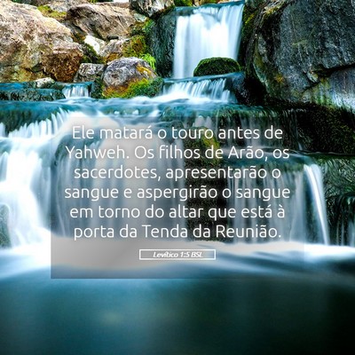 Picture 05 - Levítico 1:5 BSL - Ele matará o touro antes de Yahweh. Os filhos de - Bible Verse Picture