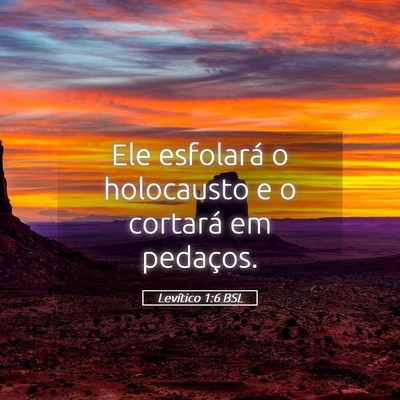 Picture 05 - Levítico 1:6 BSL - Ele esfolará o holocausto e o cortará em - Bible Verse Picture