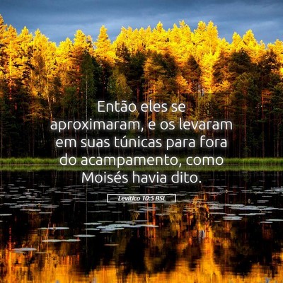 Picture 05 - Levítico 10:5 BSL - Então eles se aproximaram, e os levaram em suas - Bible Verse Picture