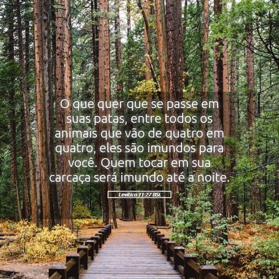 Picture 05 - Levítico 11:27 BSL - O que quer que se passe em suas patas, entre - Bible Verse Picture