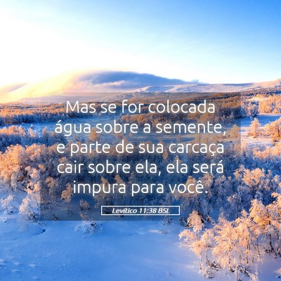Picture 05 - Levítico 11:38 BSL - Mas se for colocada água sobre a semente, e - Bible Verse Picture