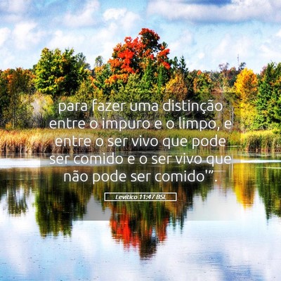 Picture 05 - Levítico 11:47 BSL - para fazer uma distinção entre o impuro e o - Bible Verse Picture