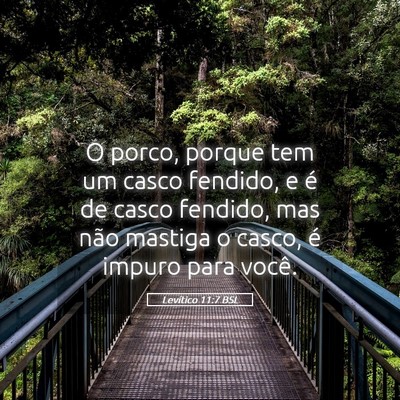 Picture 05 - Levítico 11:7 BSL - O porco, porque tem um casco fendido, e é de - Bible Verse Picture