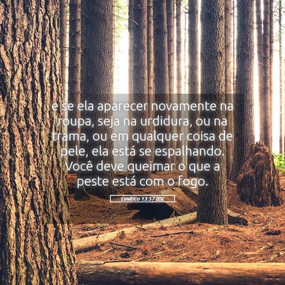 Picture 05 - Levítico 13:57 BSL - e se ela aparecer novamente na roupa, seja na - Bible Verse Picture