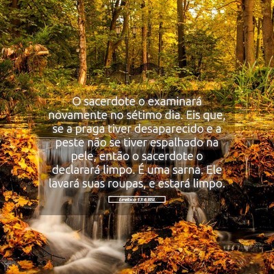 Picture 05 - Levítico 13:6 BSL - O sacerdote o examinará novamente no sétimo - Bible Verse Picture