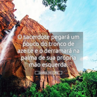 Picture 05 - Levítico 14:15 BSL - O sacerdote pegará um pouco do tronco de azeite - Bible Verse Picture