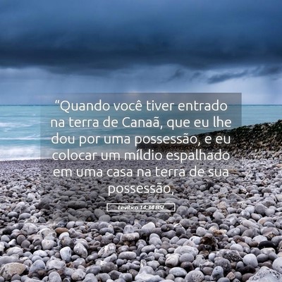 Picture 05 - Levítico 14:34 BSL - “Quando você tiver entrado na terra de Canaã, - Bible Verse Picture