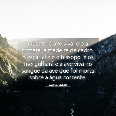 Picture 05 - Levítico 14:6 BSL - Quanto à ave viva, ele a tomará, a madeira de - Bible Verse Picture