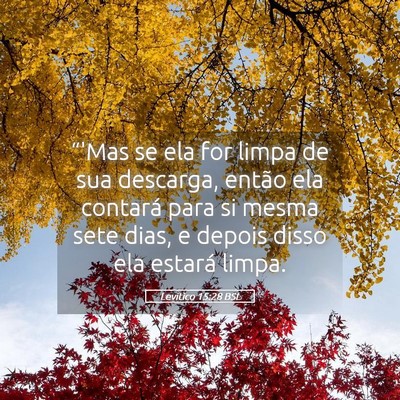 Picture 05 - Levítico 15:28 BSL - “'Mas se ela for limpa de sua descarga, então - Bible Verse Picture