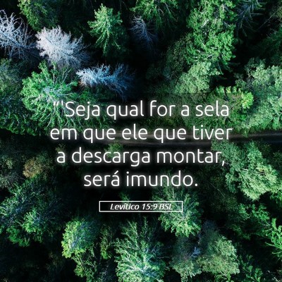 Picture 05 - Levítico 15:9 BSL - “'Seja qual for a sela em que ele que tiver a - Bible Verse Picture
