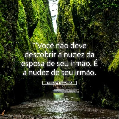 Picture 05 - Levítico 18:16 BSL - “'Você não deve descobrir a nudez da esposa - Bible Verse Picture