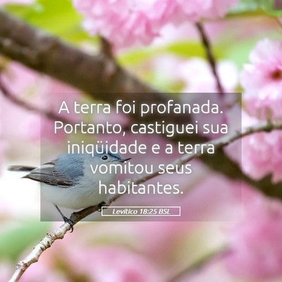 Picture 05 - Levítico 18:25 BSL - A terra foi profanada. Portanto, castiguei sua - Bible Verse Picture