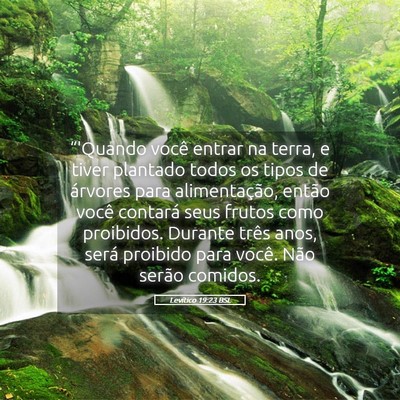 Picture 05 - Levítico 19:23 BSL - “'Quando você entrar na terra, e tiver - Bible Verse Picture