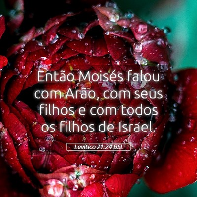 Picture 05 - Levítico 21:24 BSL - Então Moisés falou com Arão, com seus filhos e - Bible Verse Picture