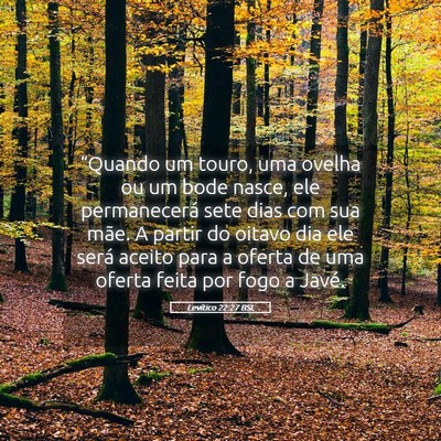 Picture 05 - Levítico 22:27 BSL - “Quando um touro, uma ovelha ou um bode nasce, - Bible Verse Picture