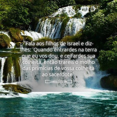 Picture 05 - Levítico 23:10 BSL - “Fala aos filhos de Israel e diz-lhes: 'Quando - Bible Verse Picture