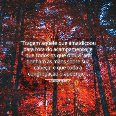 Picture 05 - Levítico 24:14 BSL - “Tragam aquele que amaldiçoou para fora do - Bible Verse Picture