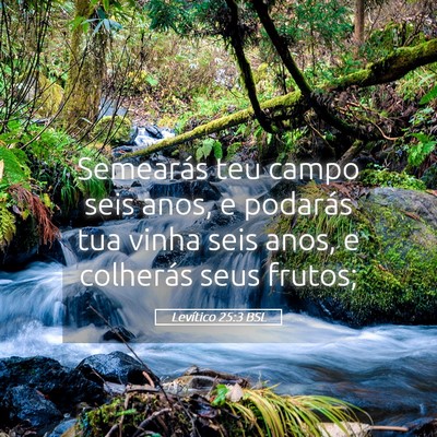 Picture 05 - Levítico 25:3 BSL - Semearás teu campo seis anos, e podarás tua - Bible Verse Picture