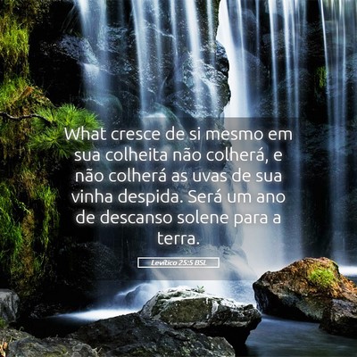 Picture 05 - Levítico 25:5 BSL - What cresce de si mesmo em sua colheita não - Bible Verse Picture