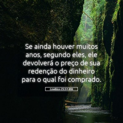 Picture 05 - Levítico 25:51 BSL - Se ainda houver muitos anos, segundo eles, ele - Bible Verse Picture
