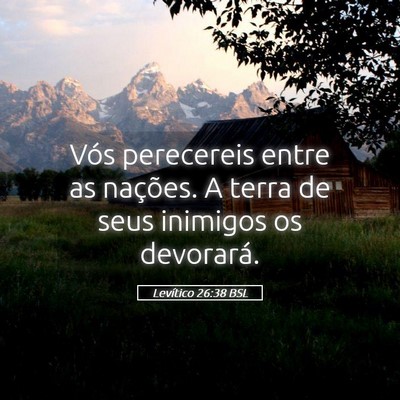 Picture 05 - Levítico 26:38 BSL - Vós perecereis entre as nações. A terra de - Bible Verse Picture
