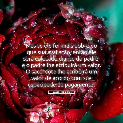 Picture 05 - Levítico 27:8 BSL - Mas se ele for mais pobre do que sua avaliação, - Bible Verse Picture