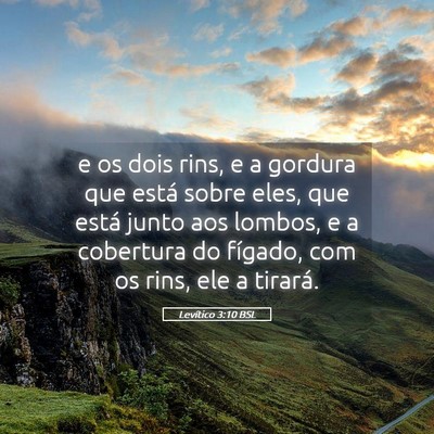 Picture 05 - Levítico 3:10 BSL - e os dois rins, e a gordura que está sobre eles, - Bible Verse Picture