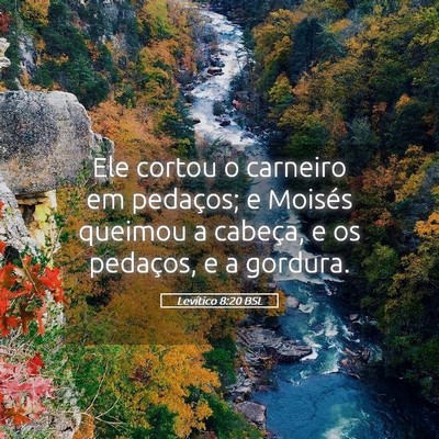 Picture 05 - Levítico 8:20 BSL - Ele cortou o carneiro em pedaços; e Moisés - Bible Verse Picture