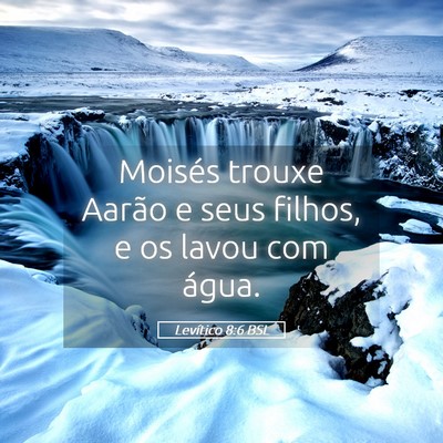 Picture 05 - Levítico 8:6 BSL - Moisés trouxe Aarão e seus filhos, e os lavou - Bible Verse Picture