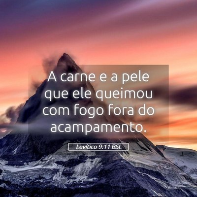 Picture 05 - Levítico 9:11 BSL - A carne e a pele que ele queimou com fogo fora do - Bible Verse Picture