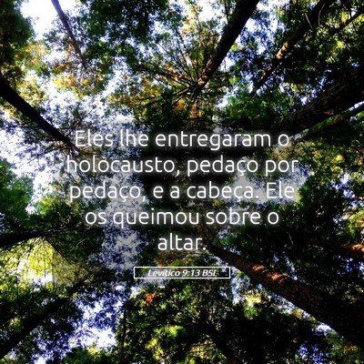 Picture 05 - Levítico 9:13 BSL - Eles lhe entregaram o holocausto, pedaço por - Bible Verse Picture