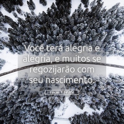 Picture 05 - Lucas 1:14 BSL - Você terá alegria e alegria, e muitos se - Bible Verse Picture
