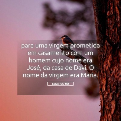 Picture 05 - Lucas 1:27 BSL - para uma virgem prometida em casamento com um - Bible Verse Picture