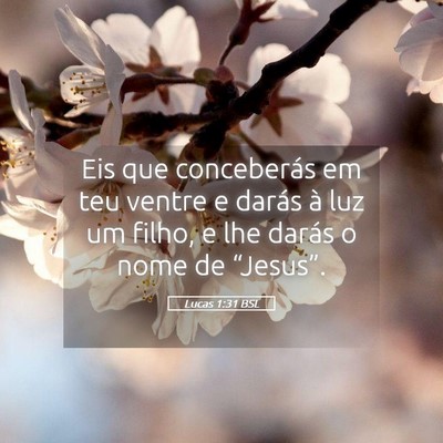 Picture 05 - Lucas 1:31 BSL - Eis que conceberás em teu ventre e darás à luz - Bible Verse Picture
