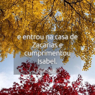 Picture 05 - Lucas 1:40 BSL - e entrou na casa de Zacarias e cumprimentou - Bible Verse Picture