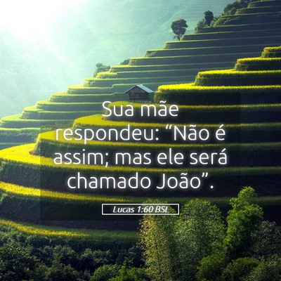 Picture 05 - Lucas 1:60 BSL - Sua mãe respondeu: “Não é assim; mas ele - Bible Verse Picture