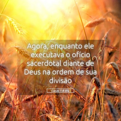 Picture 05 - Lucas 1:8 BSL - Agora, enquanto ele executava o ofício - Bible Verse Picture