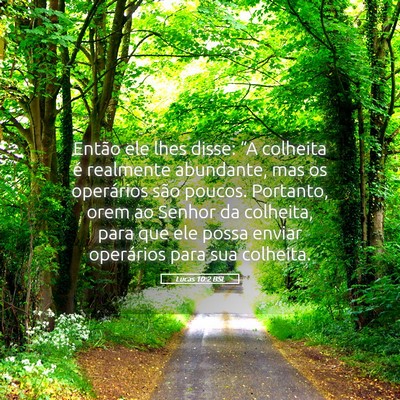 Picture 05 - Lucas 10:2 BSL - Então ele lhes disse: “A colheita é realmente - Bible Verse Picture