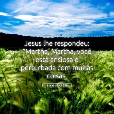 Picture 05 - Lucas 10:41 BSL - Jesus lhe respondeu: “Martha, Martha, você - Bible Verse Picture