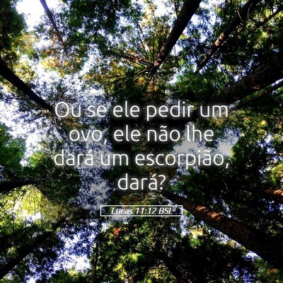 Picture 05 - Lucas 11:12 BSL - Ou se ele pedir um ovo, ele não lhe dará um - Bible Verse Picture