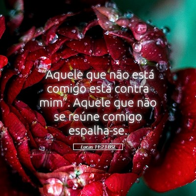 Picture 05 - Lucas 11:23 BSL - “Aquele que não está comigo está contra - Bible Verse Picture