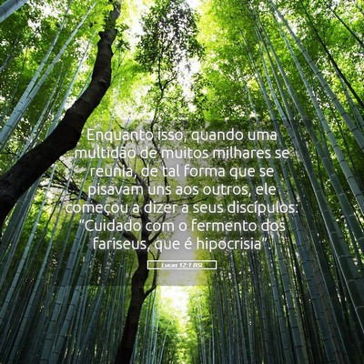Picture 05 - Lucas 12:1 BSL - Enquanto isso, quando uma multidão de muitos - Bible Verse Picture