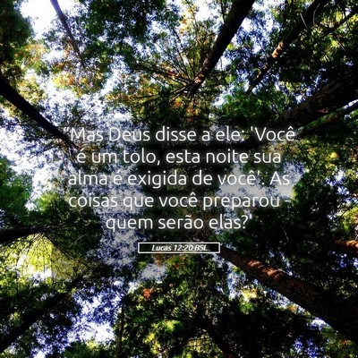 Picture 05 - Lucas 12:20 BSL - “Mas Deus disse a ele: 'Você é um tolo, esta - Bible Verse Picture