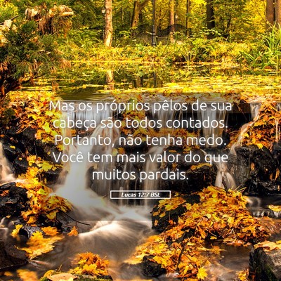 Picture 05 - Lucas 12:7 BSL - Mas os próprios pêlos de sua cabeça são todos - Bible Verse Picture