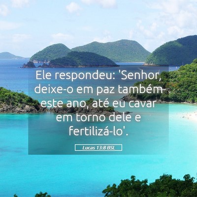 Picture 05 - Lucas 13:8 BSL - Ele respondeu: 'Senhor, deixe-o em paz também - Bible Verse Picture