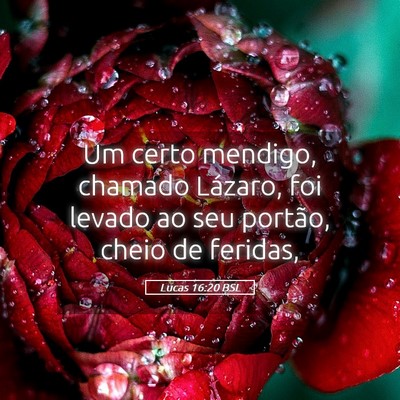 Picture 05 - Lucas 16:20 BSL - Um certo mendigo, chamado Lázaro, foi levado ao - Bible Verse Picture