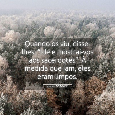 Picture 05 - Lucas 17:14 BSL - Quando os viu, disse-lhes: “Ide e mostrai-vos - Bible Verse Picture