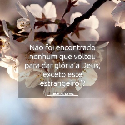 Picture 05 - Lucas 17:18 BSL - Não foi encontrado nenhum que voltou para dar - Bible Verse Picture